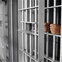 اجاره سند (فقط کیفری بالای 5 میلیارد )