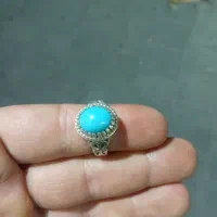فیروزه عجمی پاک