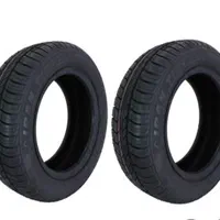 لاستیک دولتی