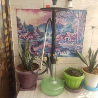 قلیون عربی اصل معاوضه با کتونی گوشی و ..|کوهنوردی و کمپینگ|قرچک, زیبا شهر|دیوار