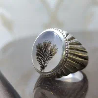 انگشترشجر تک درخت|کلکسیون اشیاء عتیقه|همدان, |دیوار