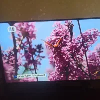 تلویزیون LED برند سامسونگ ۵۸ اینچ