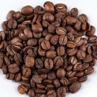 تک دون رست شده ویتنام اسکرین ۱۸