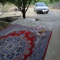 باغ میوه و ویلا در دینور قابل معاوضه|فروش دفتر صنعتی، کشاورزی، تجاری|دینور, |دیوار