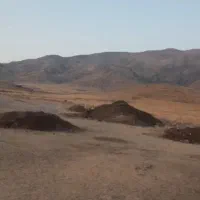 فروش کود حیوانی تمیز