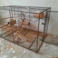 قفس پرنده ۱۰۰×۸۰
