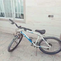 دوچرخه ویوا