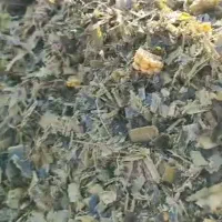 ذرت علوفه و تفاله دونم