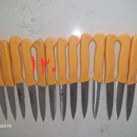 فروش عمده و تکی انواع چاقوهای حیدری و پوست کن|ظروف پخت‌وپز|تهران, بهداشت|دیوار