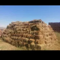 پشم تمیزشسته شده