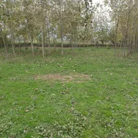 ۲۳۰۰ متر زمین باغی قاضیان سنگر رشت|فروش زمین و ملک کلنگی|سنگر, |دیوار