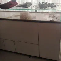 میز پاچال بزرگ