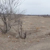 فروش ۲۳۰۰متری بر اصلی جاده کوچری