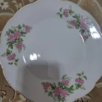 بشقاب چینی گل قرمزی|ظروف سرو و پذیرایی|اصفهان, شفق|دیوار