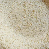 برنج درجه یک شمشیری آدرس چرداول