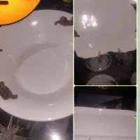 لوازم مسی|ظروف سرو و پذیرایی|مهدی شهر, |دیوار