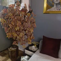 درخت پاییزی