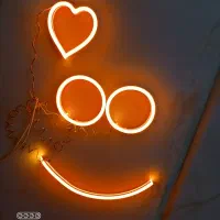 ال ای دی نئون برای ماشین