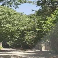 فروش زمین باغ ۱۰۰۰ متری در دوکوهک