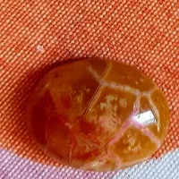 تعدادی اجناس تزیینی وقدیمی