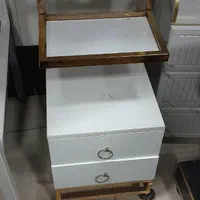 ترولی آرایشگاهی|آرایشگاه و سالن‌های زیبایی|اردبیل, |دیوار