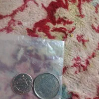 سکه قدیمی قیمت توافقی