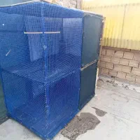 قفس بزرگ نو نو