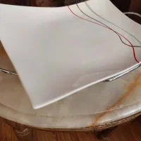 دیس پلوخوری با پایه استیل نو با کارتن