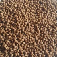 ماهی کپور|ماهی|کرج, عظیمیه|دیوار