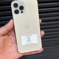 ۱۲ پرومکس با بهترین شرایط فروش