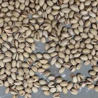 پسته|خوردنی و آشامیدنی|تهران, مظاهری|دیوار