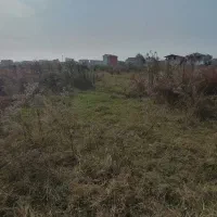 ۳۳۰مترزمین مسکونی/حوزه شهری/نسخ دار|فروش زمین و ملک کلنگی|اسالم, |دیوار