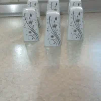 ۶عدد نمکدان