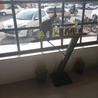 کارت سوخت گمشده