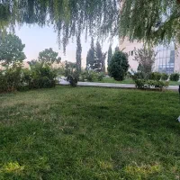 انگشتر گمشده درخیرآبادایثار۳