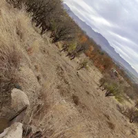 زمین کشاورزی