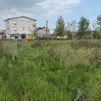 فروش زمین ۲۶۸ متری با کاربری در شهر ساحلی|فروش زمین و ملک کلنگی|چاف و چمخاله, |دیوار