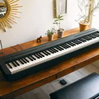 پیانو دیجیتال YAMAHA P45|پیانو، کیبورد، آکاردئون|شیراز, ابیوردی|دیوار