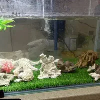 اکواریوم نو هست به علت نیاز مالی