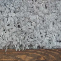 فرش شگی طوسی|فرش|تهران, بهار|دیوار