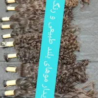 خریدار موی شما باقیمت بالا|خدمات آرایشگری و زیبایی|آزادشهر, |دیوار