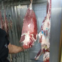 سوسیس و کالباس خونگی اِلماج|خوردنی و آشامیدنی|اندیمشک, |دیوار