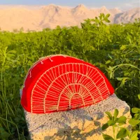 لچک|لباس|دهدشت, |دیوار