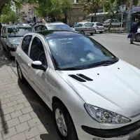 ۲۰۶تیپ۳ پانا