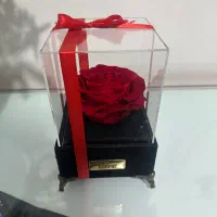 گل رز جاودان موزیکال