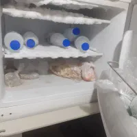 یخچال|یخچال و فریزر|بندرعباس, |دیوار