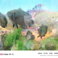 ۱۰ عدد اسکار و چند عدد ماهی جوئل شکم پر