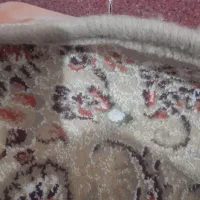 دو تخته فرش ۱۲ متری، ۵۰۰شانه|فرش|تربت جام, میان جام|دیوار