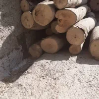 هیزم کبابی وشومینه|عمدهفروشی|بومهن, |دیوار