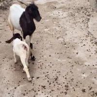 درود بر همگی دوستان